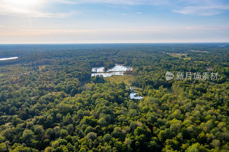 黄昏时的Muskoka Torrance Barrens Dark-Sky保护区，Gravenhurst，加拿大